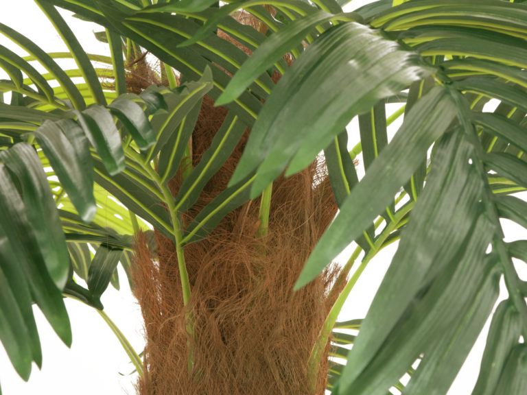 EUROPALMS Phoenix palm deluxe, artificial plant, 250cm