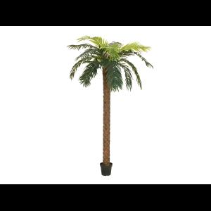 EUROPALMS Phoenix palm deluxe, artificial plant, 250cm