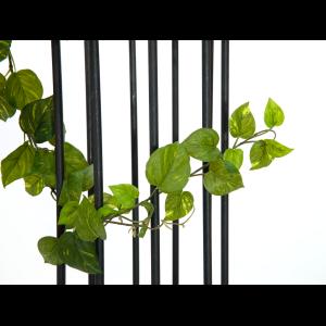 EUROPALMS Pothos Garland, Premium, 180cm