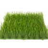 EUROPALMS Artificial grass tile, sun, 25x25cm