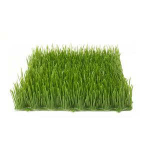 EUROPALMS Artificial grass tile, sun, 25x25cm