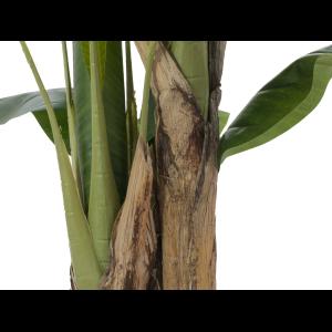 EUROPALMS Banana tree, artificial plant, 120cm