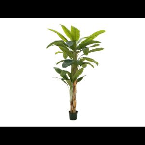 EUROPALMS Banana tree, artificial plant, 240cm