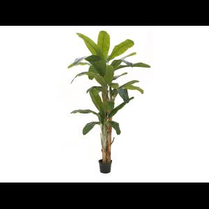 EUROPALMS Banana tree, artificial plant, 240cm