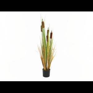 EUROPALMS Bulrush, alrtificial plant, 150cm