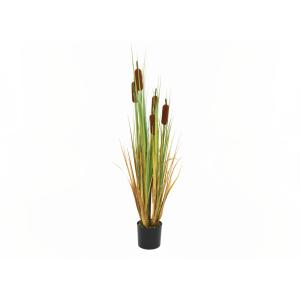 EUROPALMS Bulrush, alrtificial plant, 150cm