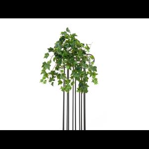 EUROPALMS Ivy Bush,  Premium, 50cm