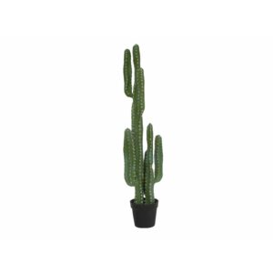 EUROPALMS Mexican cactus, artificial plant, green, 123cm