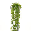 EUROPALMS Pothos Bush Tendril Premium, 170cm