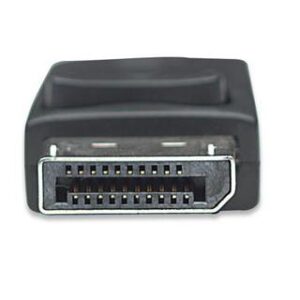 Adattatore DisplayPort DP M a VGA F