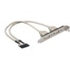 Cavetto Slot USB 2.0 2x 5pin