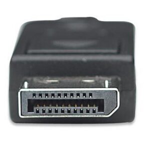 Cavo Convertitore da DisplayPort a HDMI 2 m
