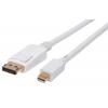 Cavo Monitor DisplayPort a Mini Displayport (Thunderbolt) M/M 1 m