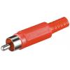 Connettore Audio RCA Maschio in plastica, Rosso