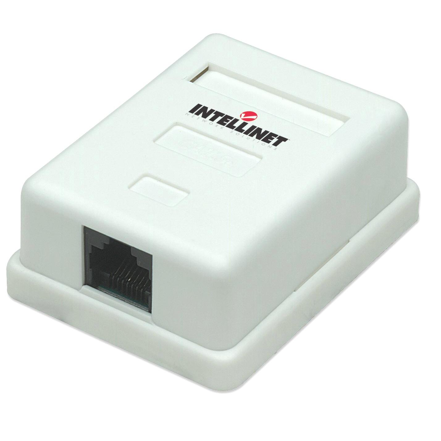 Presa a muro RJ45 Cat5e esterna 2 porte, UTP, colore bianco su   - Ingrosso Audio e Luci Salerno