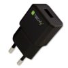 Caricatore USB 2,1A Compatto Spina Europea 2pin Nero