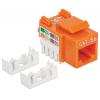 Frutto Keystone RJ45 Cat5e UTP Arancione