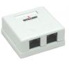 Presa a Muro con 2 Frutti RJ45 Cat. 5E UTP Beige