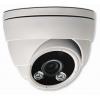 Telecamera Dome IP PoE IR HD 2MP da Soffitto/Parete IP66 AVM420U