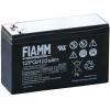 Batteria Piombo-Acido 12V 5,0Ah Slim (Faston 4,8mm)