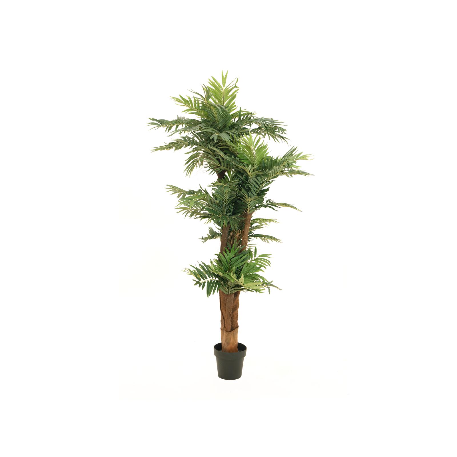 EUROPALMS Areca palm, artificial plant, 170cm