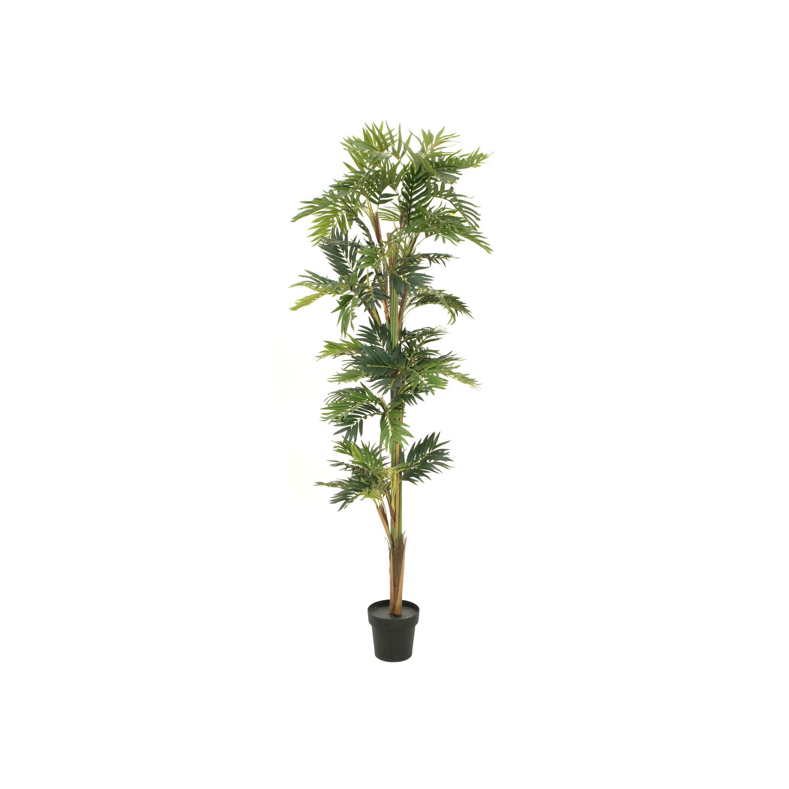 EUROPALMS Parlor palm, artificial plant, 210cm