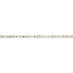 EUROLITE LED IP Strip 600 5m 2835 4000K 24V