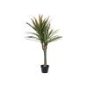 EUROPALMS Dracena, artificial, 120cm