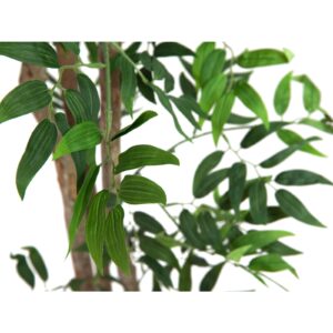 EUROPALMS Ficus longifolia, artificial plant, 165cm
