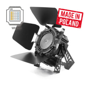 FLASH FPC250VINT PAR LED 64 POTENZA 250W 2 GRADAZIONI DIBIANCO DA 2200 K A 5200 K