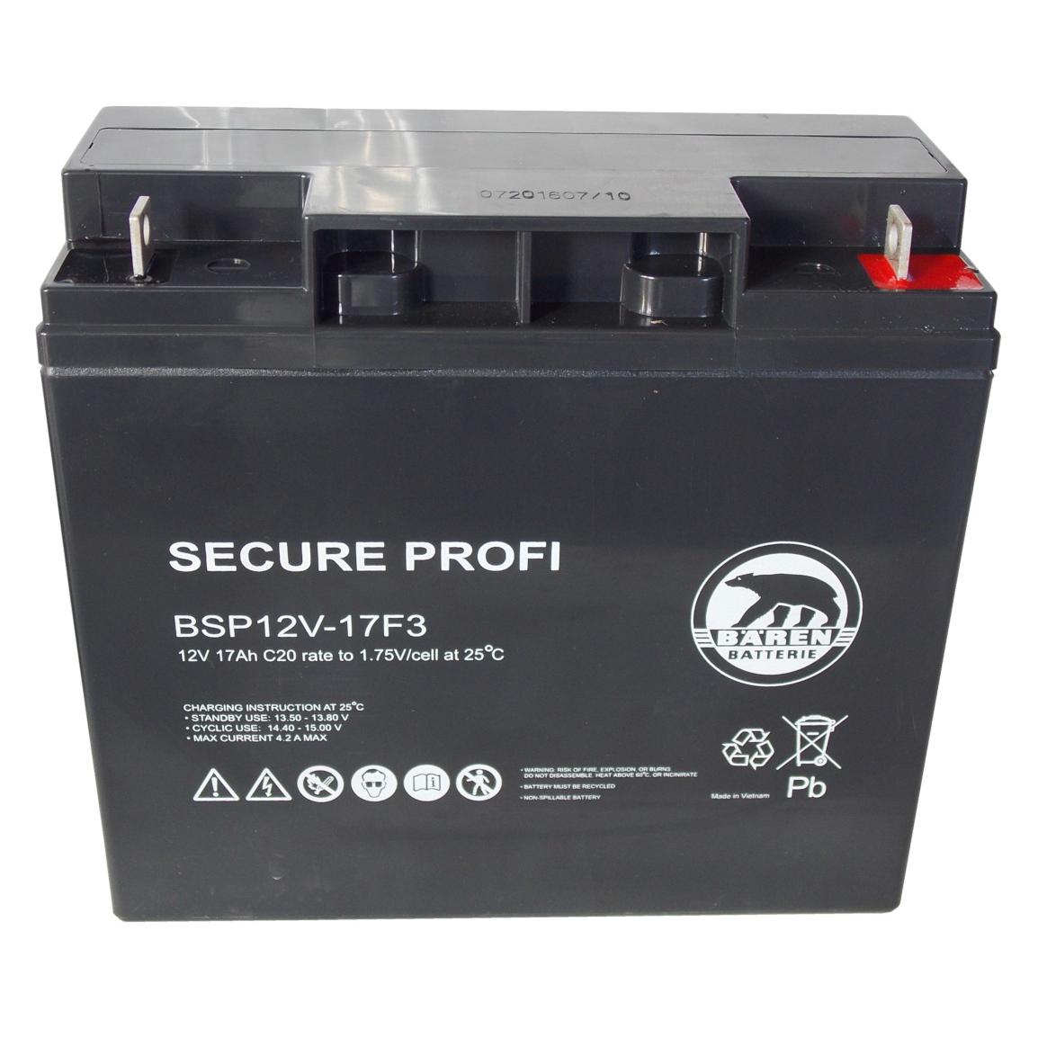 Batteria Piombo-Acido 12V 17,0Ah (Attacco a vite), BSP12V-17F3