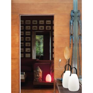 Lampada LED Multicolore da Tavolo