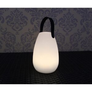 Lampada LED Multicolore da Tavolo