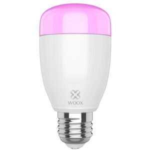 Lampadina LED E27 500lm Smart Controllo Vocale Alexa, R5085 Diamond