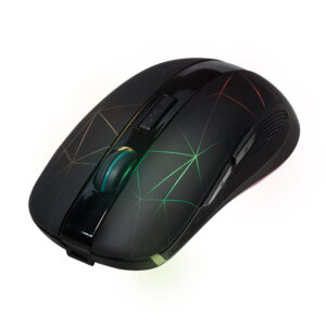 Mouse Ottico Wireless 2.4GHz 1600dpi Retroilluminato