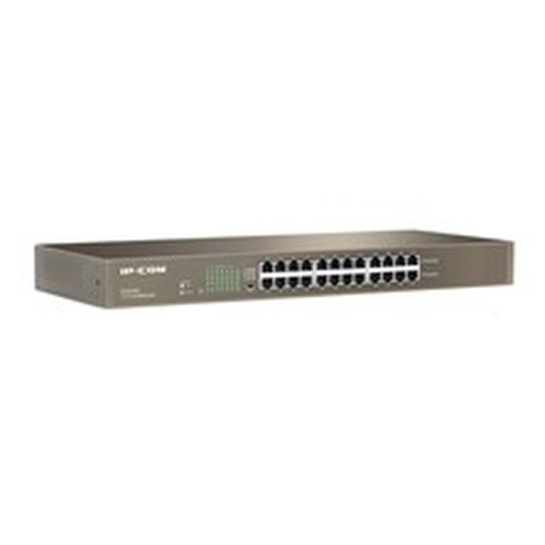 Switch Ethernet Gigabit 24 Porte