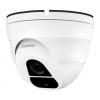 Telecamera Dome IP POE IR Full HD 2MP da Soffitto Starlight IP66