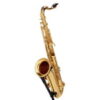 Yamaha YTS-480 Tenor Sax