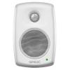 Genelec 4010AW