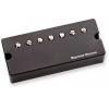 SEYMOUR DUNCAN ITALIA 7STR SENTIENT NECK, AMT, SOAPBAR