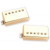 SEYMOUR DUNCAN ITALIA APH2S SLASH ALNC II PROHB GOLD SET