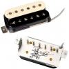 SEYMOUR DUNCAN ITALIA APH2S SLASH ALNC II PROHB ZEBRA, SET