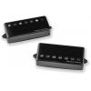 SEYMOUR DUNCAN ITALIA J LOOMIS SET AMT, BLK 7STR