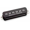 SEYMOUR DUNCAN ITALIA PASTK1N PARALLEL AXIS STACK