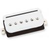 SEYMOUR DUNCAN ITALIA TBPR1B PRAILS ORG TRMBKR BRG WH