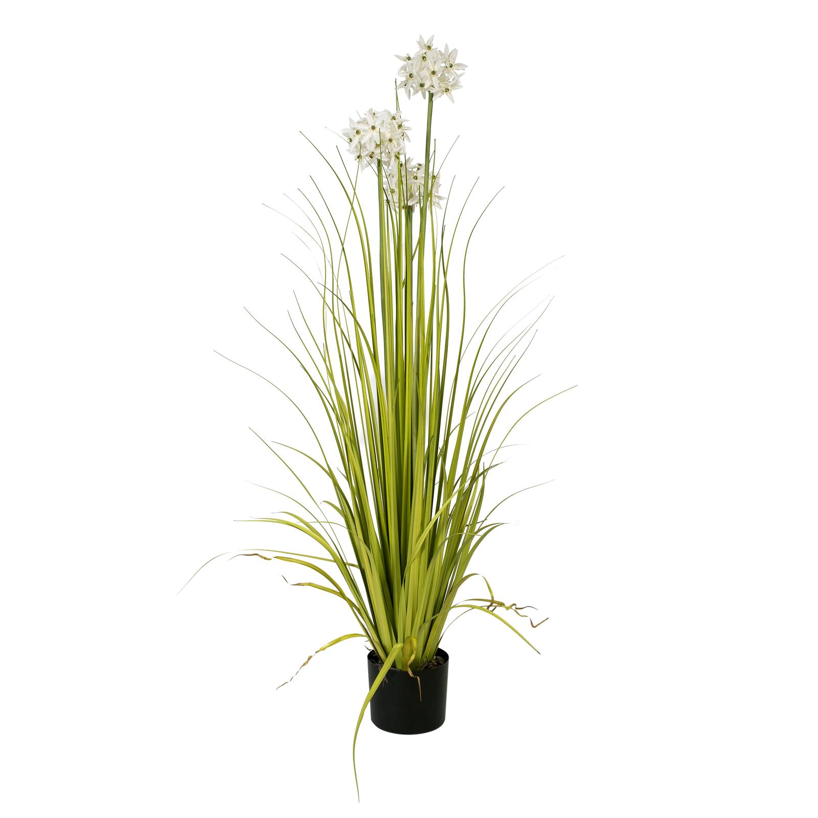 EUROPALMS Allium grass, artificial plant, white, 120 cm