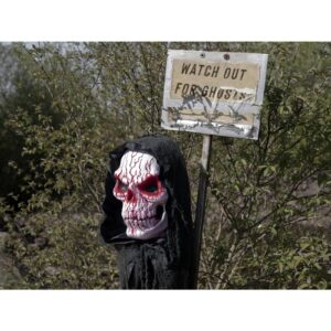 EUROPALMS Halloween Blood Skull, 80cm
