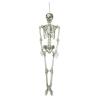 EUROPALMS Halloween Skeleton, 150 cm