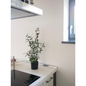 EUROPALMS Olive tree, artificial plant, 68 cm