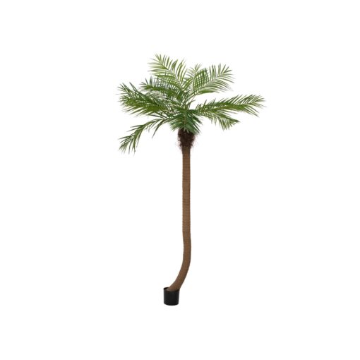 EUROPALMS Phoenix palm tree luxor curved, artificial plant, 240cm